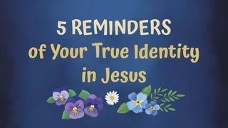 5 Reminders of Your True Identity in Jesus Romans 10:1-10 New Century Version