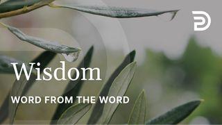 A Word From the Word - Wisdom Spreuken 8:35 Het Boek