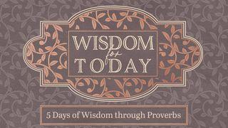 5 Days of Wisdom Through Proverbs Spreuken 3:19 Het Boek