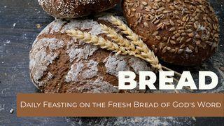 BREAD - Daily Feasting on the Fresh Bread of God's Word Deuteronomium 5:33 NBG-vertaling 1951