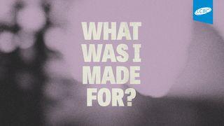 What Was I Made For? Uncovering Your God-Given Purpose Eclesiastés 1:9 La Biblia de las Américas