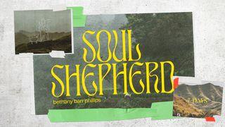 Soul Shepherd Genesis 48:15-16 Contemporary English Version (Anglicised) 2012