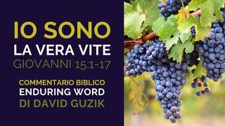 Io Sono La Vera Vite: Commentario Biblico su Giovanni 15:1-17 Vangelo secondo Giovanni 15:14-17 Nuova Riveduta 2006