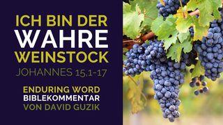 Ich bin der wahre Weinstock: Bibelkommentar zu Johannes 15,1-17 Matthäus 13:20-21 Albrecht NT und Psalmen