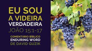 Eu Sou a Videira Verdadeira: Comentário Bíblico em João 15:1-17 Mateus 13:20-21 Almeida Revista e Corrigida (Portugal)