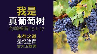 我是真葡萄树：圣经注释之约翰福音 15:1-17 约翰福音 15:4-8 新标点和合本, 神版