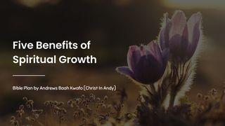 Five Benefits of Spiritual Growth De brief aan de Hebreeën 6:1 NBG-vertaling 1951