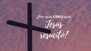 ¿Por qué creo que Jesús resucitó? San Mateo 28:12-15 Biblia Dios Habla Hoy