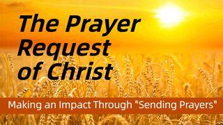 The Prayer Request of Christ; "Making an Impact Through Sending Prayers." Luke 7:12-15 New Living Translation