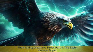 The 4 Living Creatures Series Part 4: The Eagle 出埃及记 14:1-14 新标点和合本, 神版