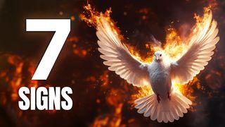 7 Biblical Signs Confirming the Presence of the Holy Spirit Within You Romans 8:16-18 New Century Version