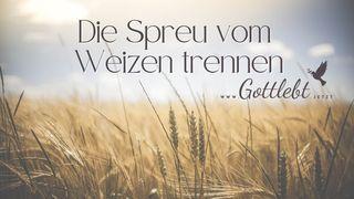 Die Spreu vom Weizen trennen Philipper 4:8-9 Die Bibel (Schlachter 2000)