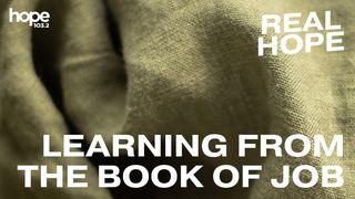 Real Hope: Learning From the Book of Job யோபு 2:11-13 இண்டியன் ரிவைஸ்டு வெர்ஸன் (IRV) - தமிழ்