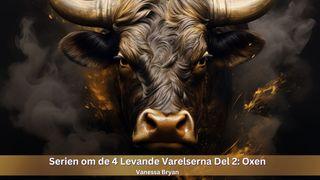 Serien Om De 4 Levande Varelserna Del 2: Oxen Lukasevangeliet 22:26 Bibel 2000