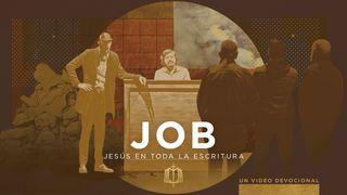 Job: Confiar en Dios en nuestro sufrimiento | Video Devocional Job 40:4 Nueva Traducción Viviente