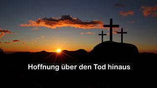 Hoffnung über den Tod hinaus Psalm 90:12 Hoffnung für alle