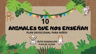 Animales Que Nos Enseñan Proverbios 9:10 Nueva Versión Internacional - Español