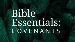 The Covenants of the Bible আদি 7:24 ইণ্ডিয়ান ৰিভাইচ ভাৰচন (IRV) আচামিচ - 2019