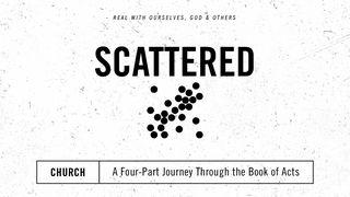 Scattered 使徒行传 11:1-14 和合本修订版