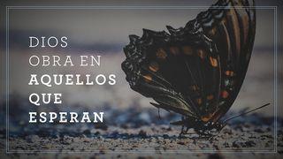 Dios obra en aquellos que esperan Efesios 4:1-6 Biblia Dios Habla Hoy