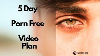 5 Day Porn Free Video Plan 路加福音 10:13-20 新标点和合本, 神版