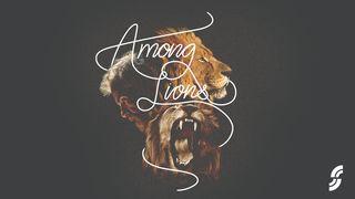 Among Lions Daniel 7:27 beibl.net 2015, 2024