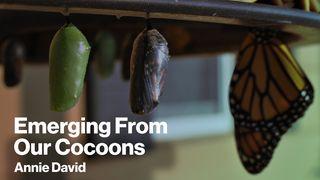 Emerging From Our Cocoons - New Year and Beginnings 1 Thessalonians 5:3 New Living Translation