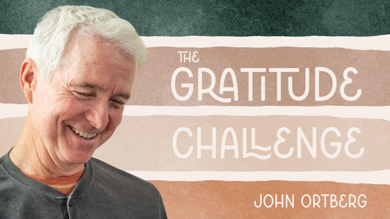 The Gratitude Challenge