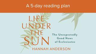 Life Under the Sun: The Unexpectedly Good News of Ecclesiastes Eclesiastés 1:11 La Biblia de las Américas