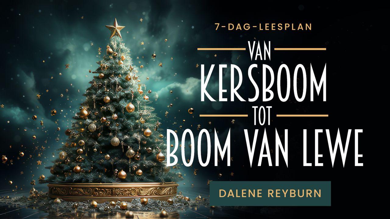 Van Kersboom tot Boom van Lewe