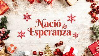 Nació la Esperanza मत्ती 1:20 डोगरी नवां नियम