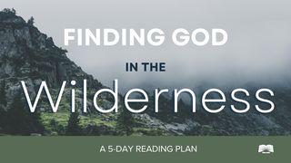 Finding God in the Wilderness ராஜாக்களின் முதலாம் புத்தகம் 19:19 பரிசுத்த பைபிள்