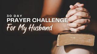 30 Day Prayer Challenge for Your Husband Spreuken 13:6 BasisBijbel