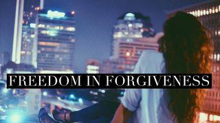 Freedom in Forgiveness Genesis 45:6-10 New International Version