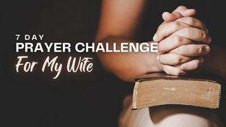 7 Day Prayer Challenge for My Wife Spreuken 13:10 BasisBijbel