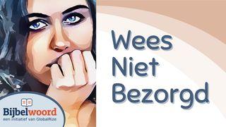 Wees niet bezorgd Lukas 10:38-42 BasisBijbel