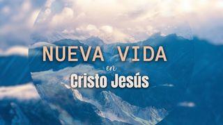 Nueva Vida  MATEO 7:13-29 La Palabra (versión española)