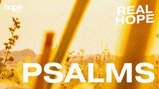 Real Hope: Psalms Psaltaren 79:9 Bibel 2000