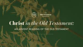 Christ in the Old Testament: A 5-Day Advent Reading Plan Luk 20:17 Takia