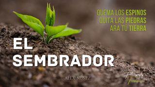 El sembrador Mateo 13:1-9 La Biblia de las Américas