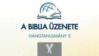 Márk Evangéliuma Mark 1:8 Anmatyerr Bible