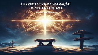 A Expectativa Da Salvação Lucas 2:25-32 Almeida Revista e Atualizada