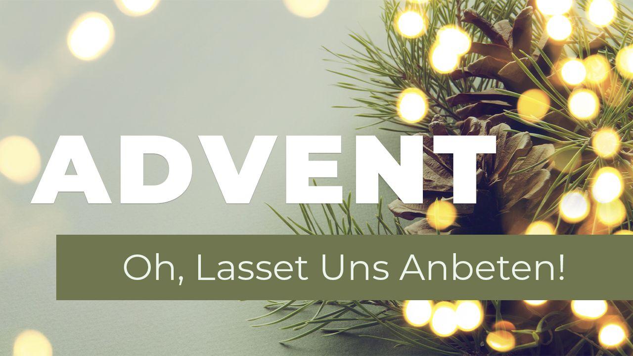 ADVENT - Oh, Lasset Uns Anbeten!