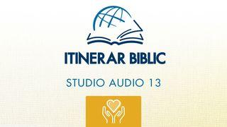 Rut Rut 1:16 Biblia Traducerea Fidela 2015