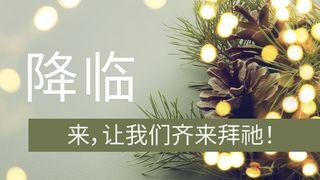 降临  来，让我们齐来拜祂！ 路加福音 2:6-15 新标点和合本, 神版