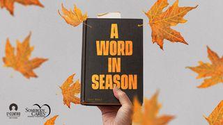 A Word in Season Daniel 4:37 Beibl Cymraeg Newydd Diwygiedig 2004