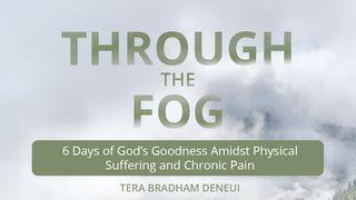 Through the Fog: 6 Days of God's Goodness Amidst Physical Suffering, Chronic Pain, and Chronic Illness Лукастар 8:17 Біблія про закарпатцько романо чіб