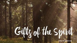 Gifts of the Spirit De Eerste Brief van den Apostel Paulus aan die van Korinthe 12:4-6 Statenvertaling (Importantia edition)