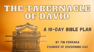 The Tabernacle of David De Psalmen 142:7 Statenvertaling (Importantia edition)