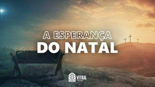 A Esperança Do Natal Lucas 2:1-40 Nova Tradução na Linguagem de Hoje